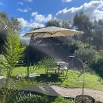 Rez De Golfe De Lava *