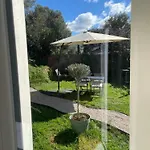 Rez De Golfe De Lava