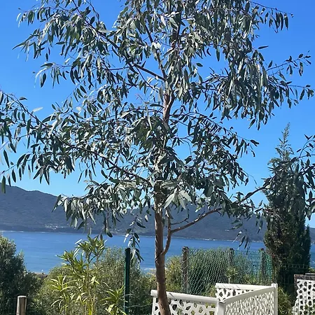 Rez De Golfe De Lava * Appietto