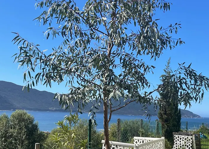 Rez De Golfe De Lava * Appietto