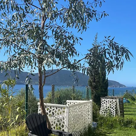 Appartement Avec Jardin Appietto